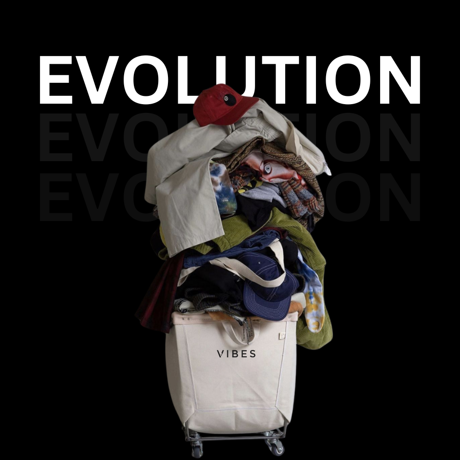 Vibes EVOLUTION